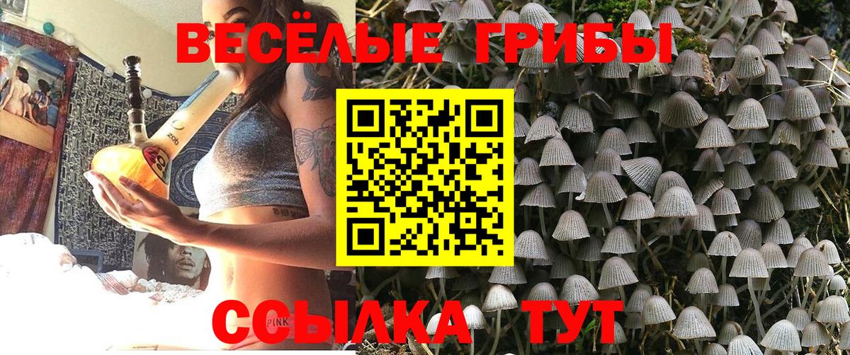 Псилоцибиновые грибы ЛСД  Вход с VPN  Сердобск 